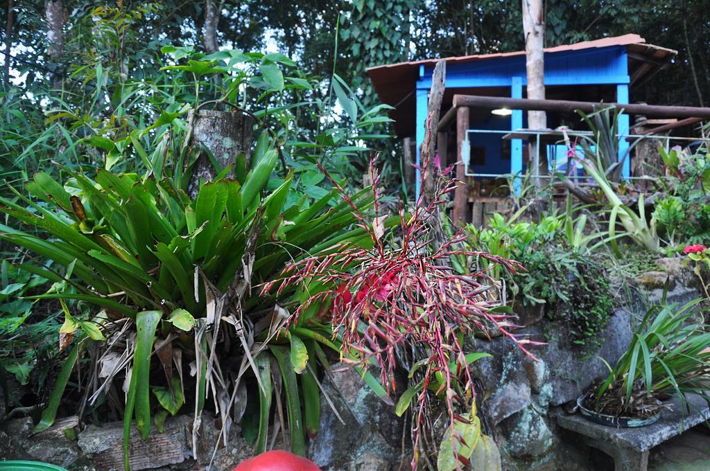 Pousada Ecologica Lua Bonita Do Nero Macacos  Bagian luar foto